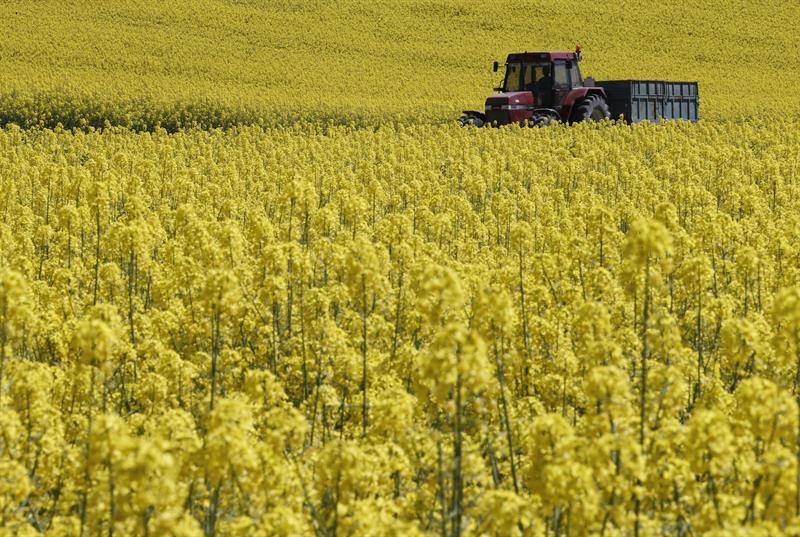  Sepanyol, negara keempat yang paling banyak menyumbang kepada pengeluaran pertanian EU pada tahun 2016